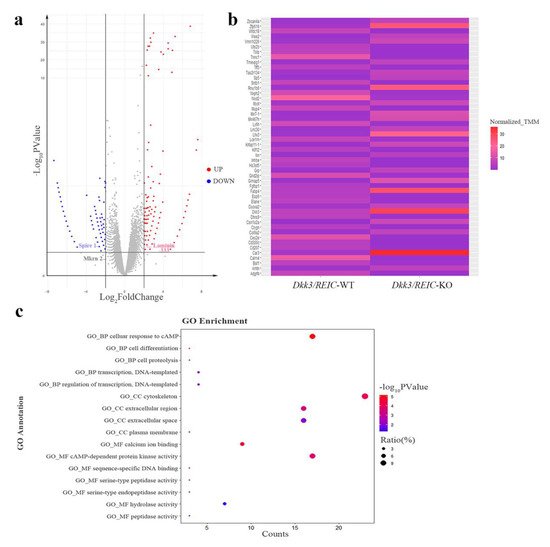 Genes 13 00285 g005 550