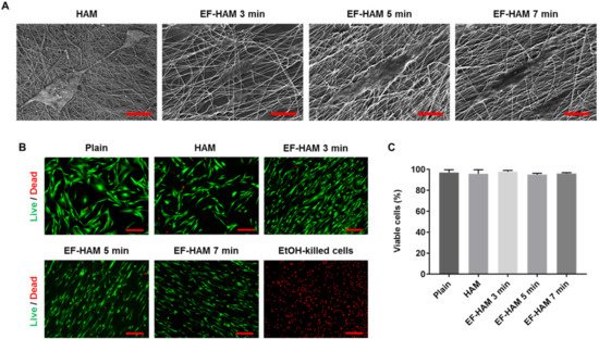 Ijms 23 01743 g002 550