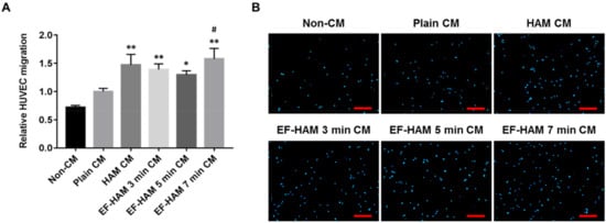 Ijms 23 01743 g005 550