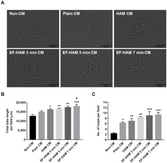 Ijms 23 01743 g006 550