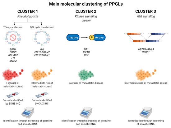 Cancers 14 00917 g004 550