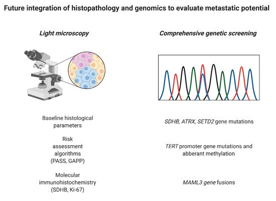 Cancers 14 00917 g005 550