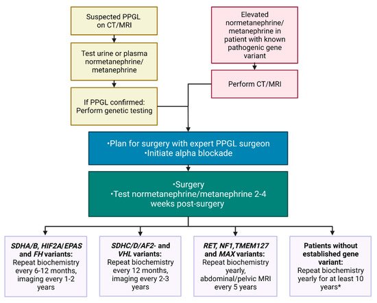 Cancers 14 00917 g006 550