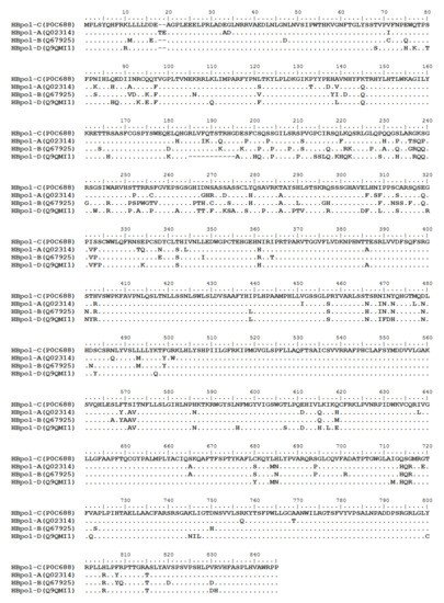 Vaccines 10 00257 g002c 550