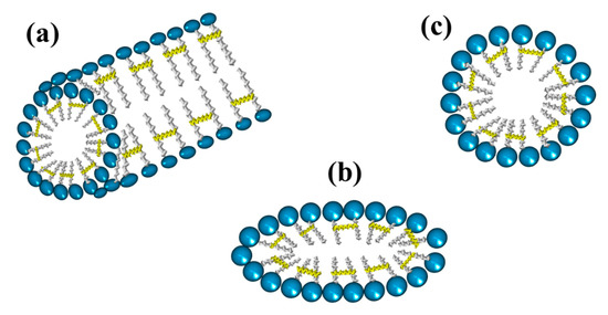 Gemini Surfactants Encyclopedia MDPI