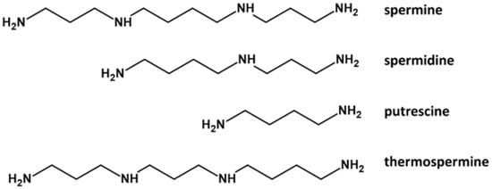 Ijms 23 01874 g001 550