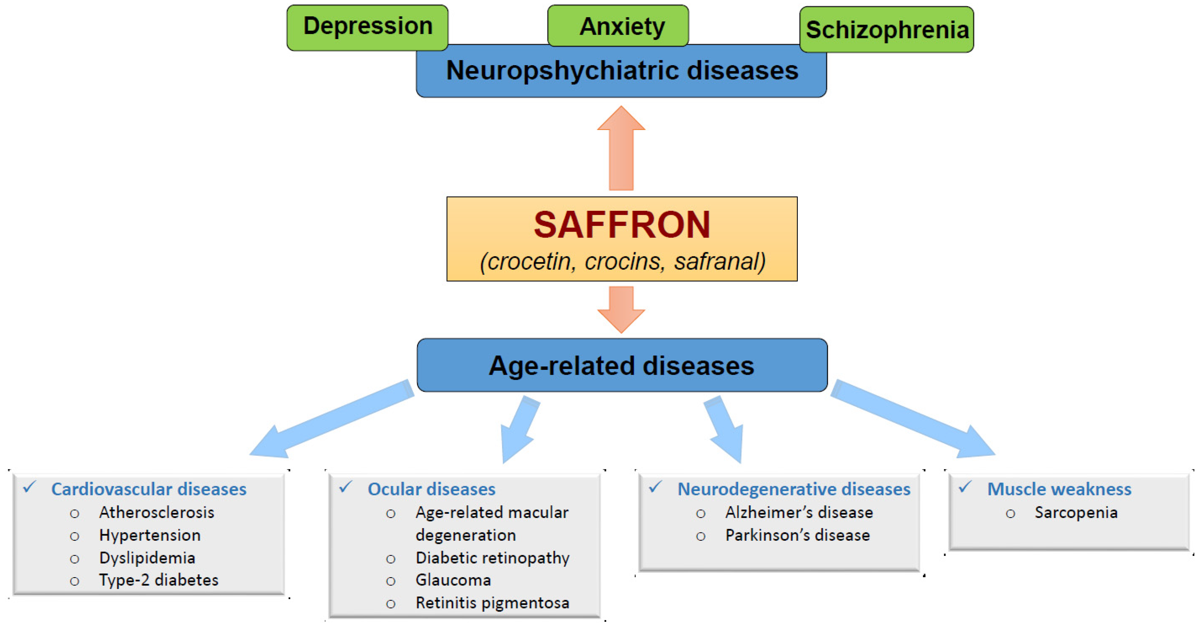 Saffron for the Treatment of Human Diseases Encyclopedia MDPI