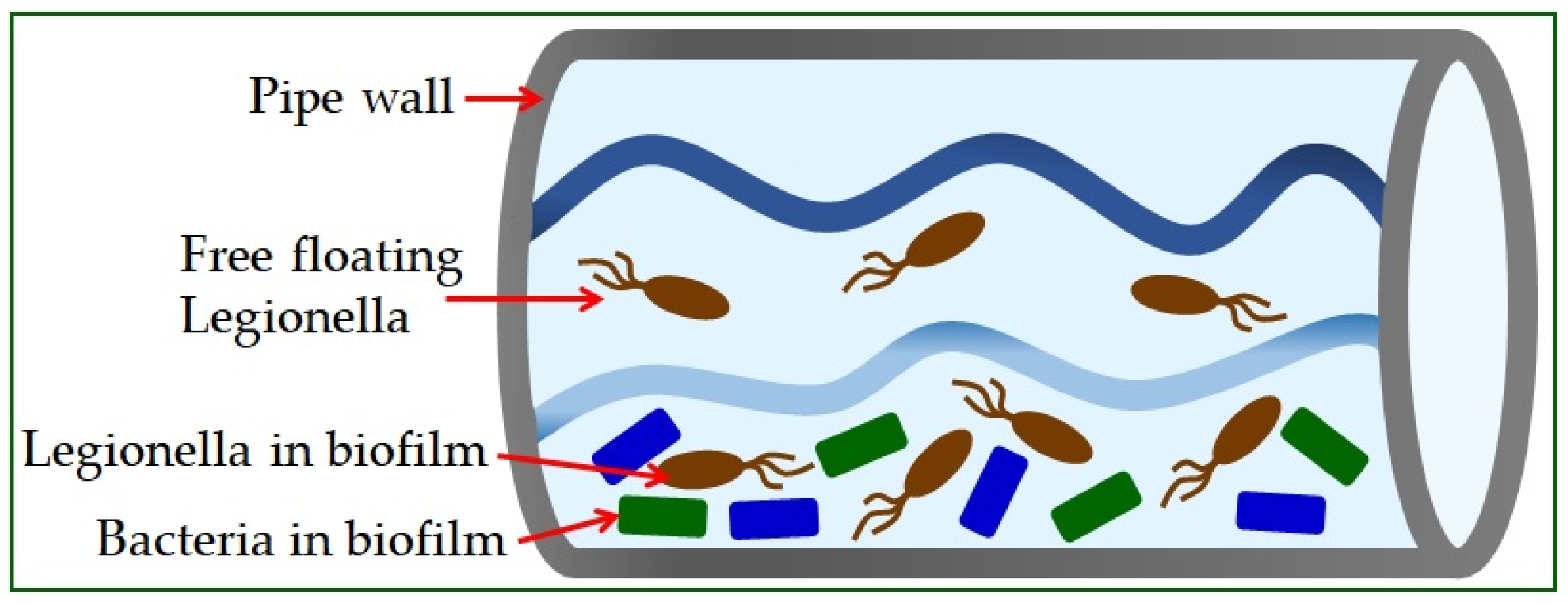 Microorganisms 10 00255 g001