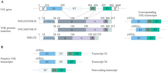 Genes 13 00362 g001 550