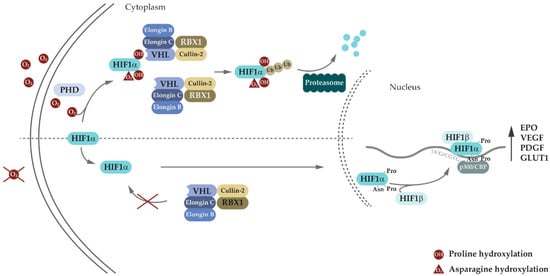 Genes 13 00362 g002 550