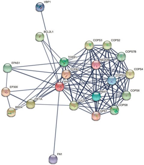 Genes 13 00362 g003 550