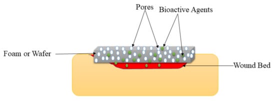 Polymers 14 00724 g006 550