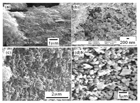 Molecules 27 00546 g009 550