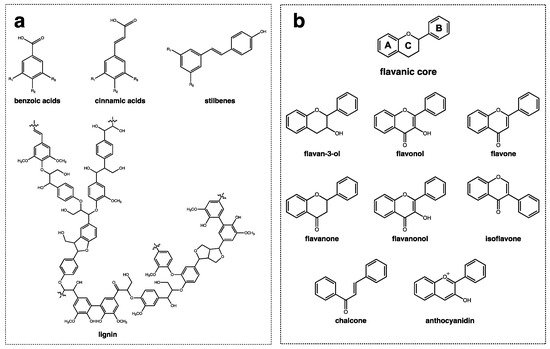 Metabolites 12 00184 g001 550