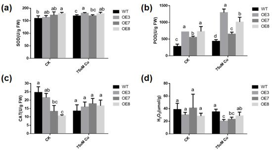 antioxidant 11 00389 g007 550