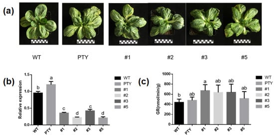 antioxidant 11 00389 g008 550