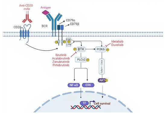 Life 12 00283 g001 550