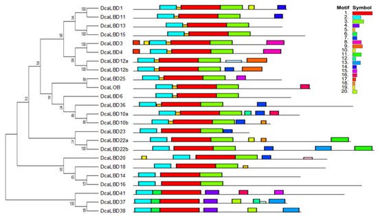 Ijms 23 02089 g002 550