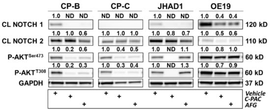 Nutrients 14 00969 g010 550