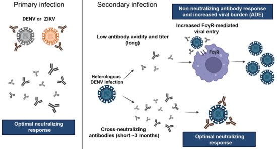 Pathogens 11 00294 g002 550