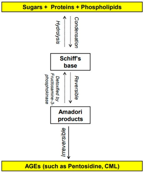 Nutrients 14 00966 g001 550