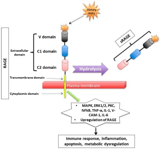 Nutrients 14 00966 g002 550