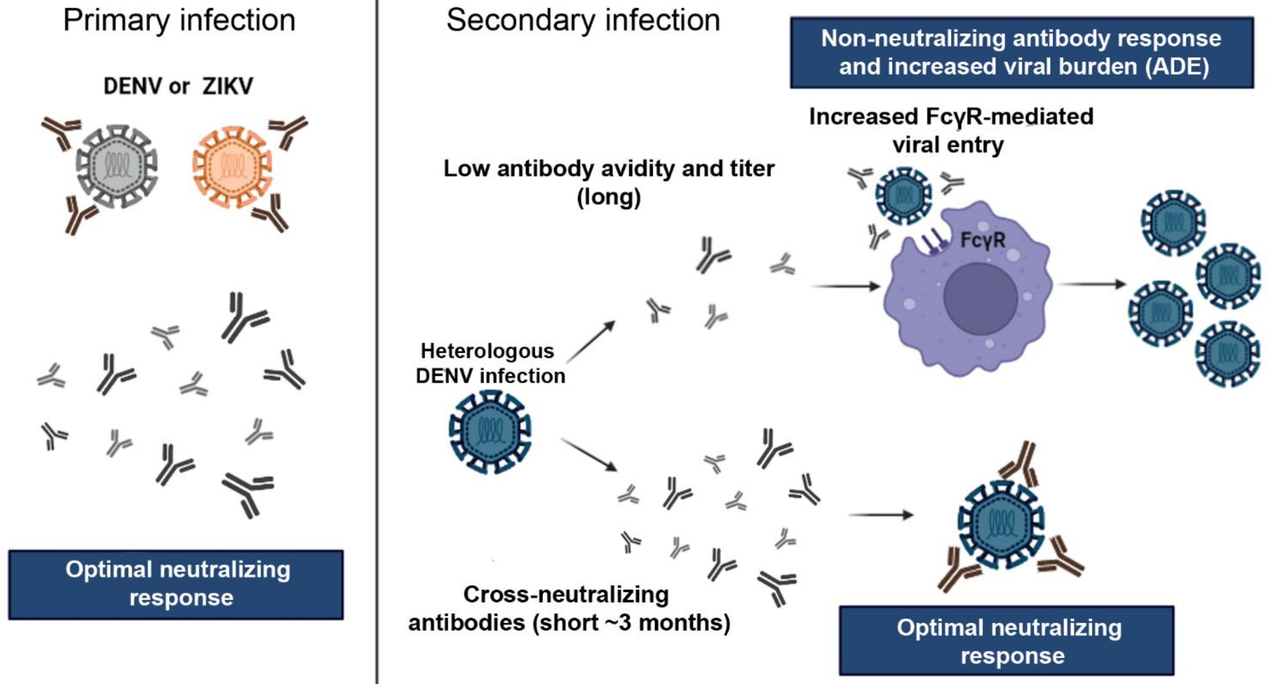 /media/item_content/202203/621d7bd31394dpathogens-11-00294-g002.png