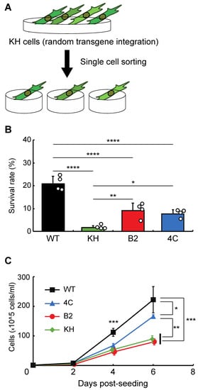 Genes 13 00406 g001 550