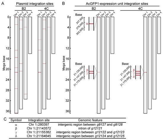 Genes 13 00406 g002 550