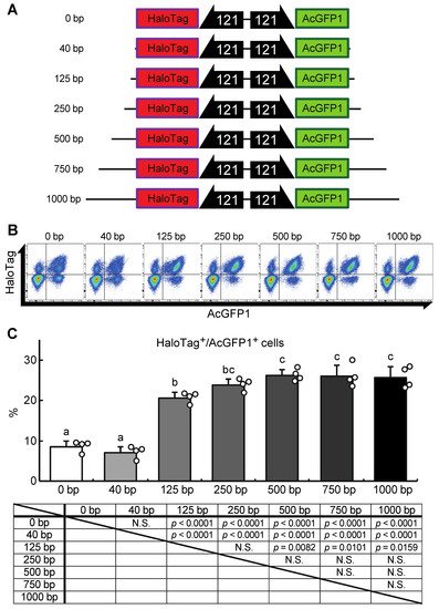 Genes 13 00406 g005 550