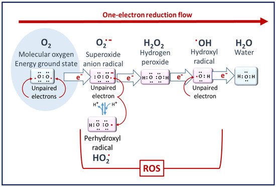 Antioxidants 10 01872 g001 550