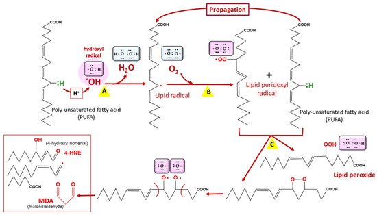 Antioxidants 10 01872 g003 550