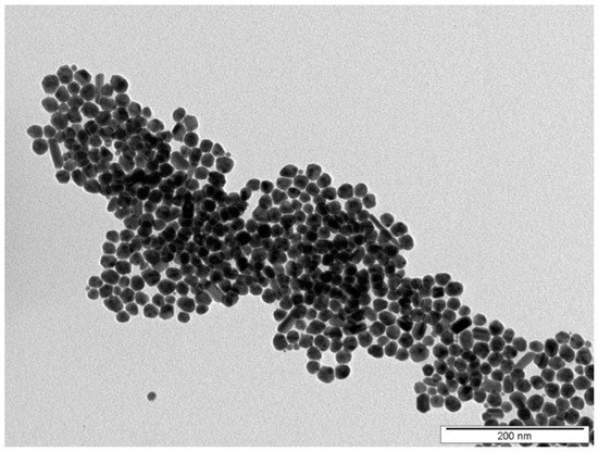 Nanomaterials 12 00792 g001 550