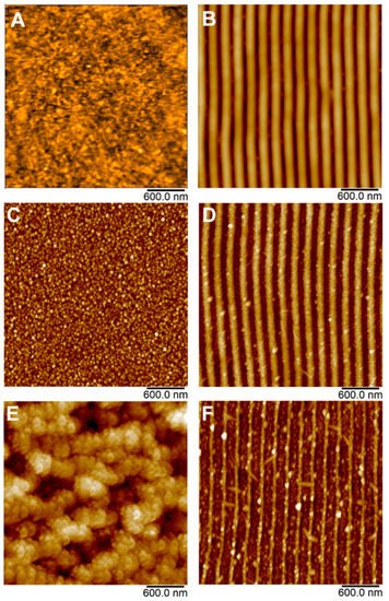 Nanomaterials 12 00792 g002 550