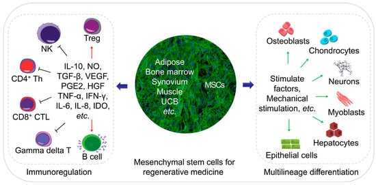 Cells 08 00886 g001 550