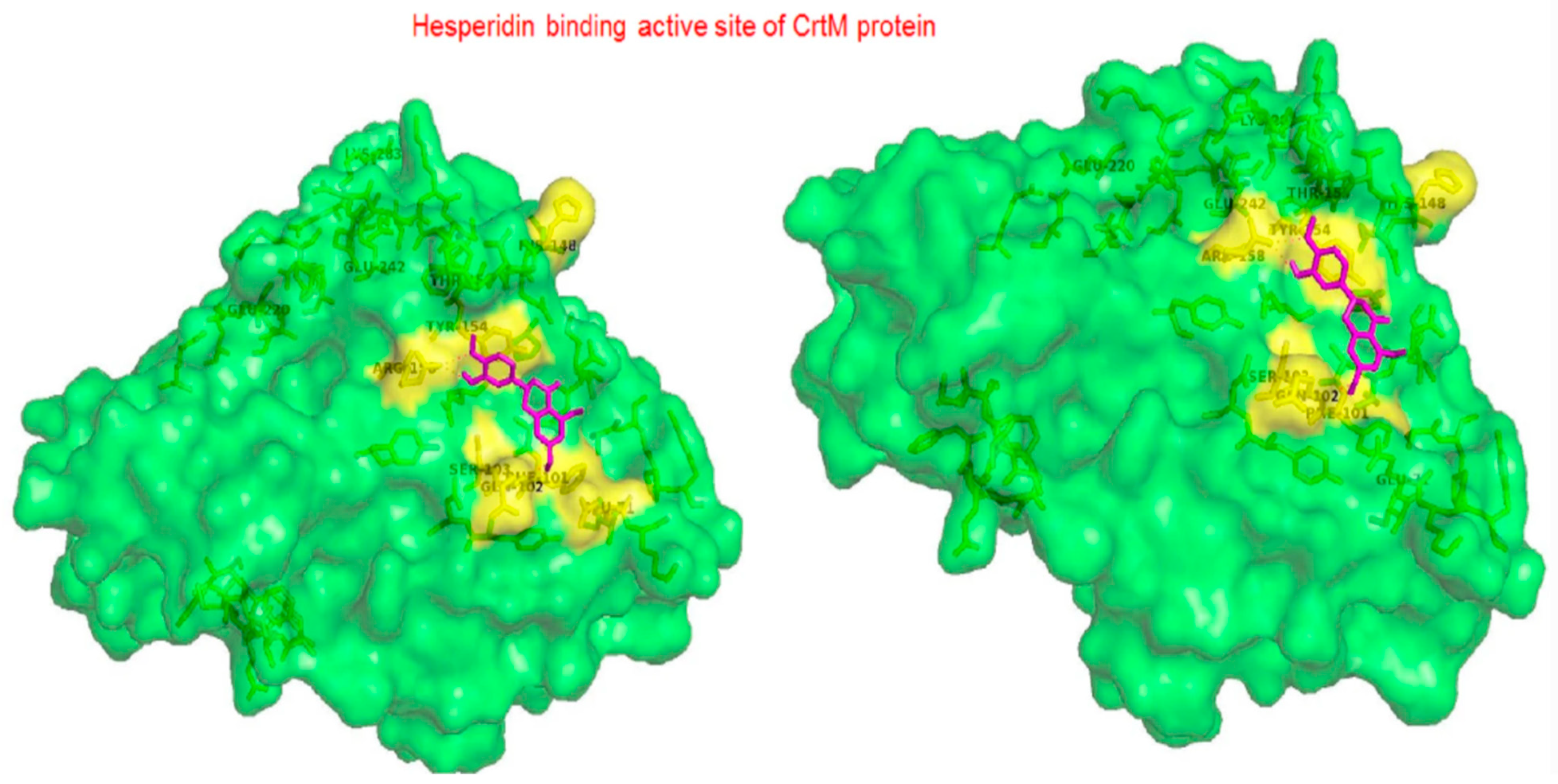 /media/item_content/202203/6225ca259b478antibiotics-11-00298-g005.png