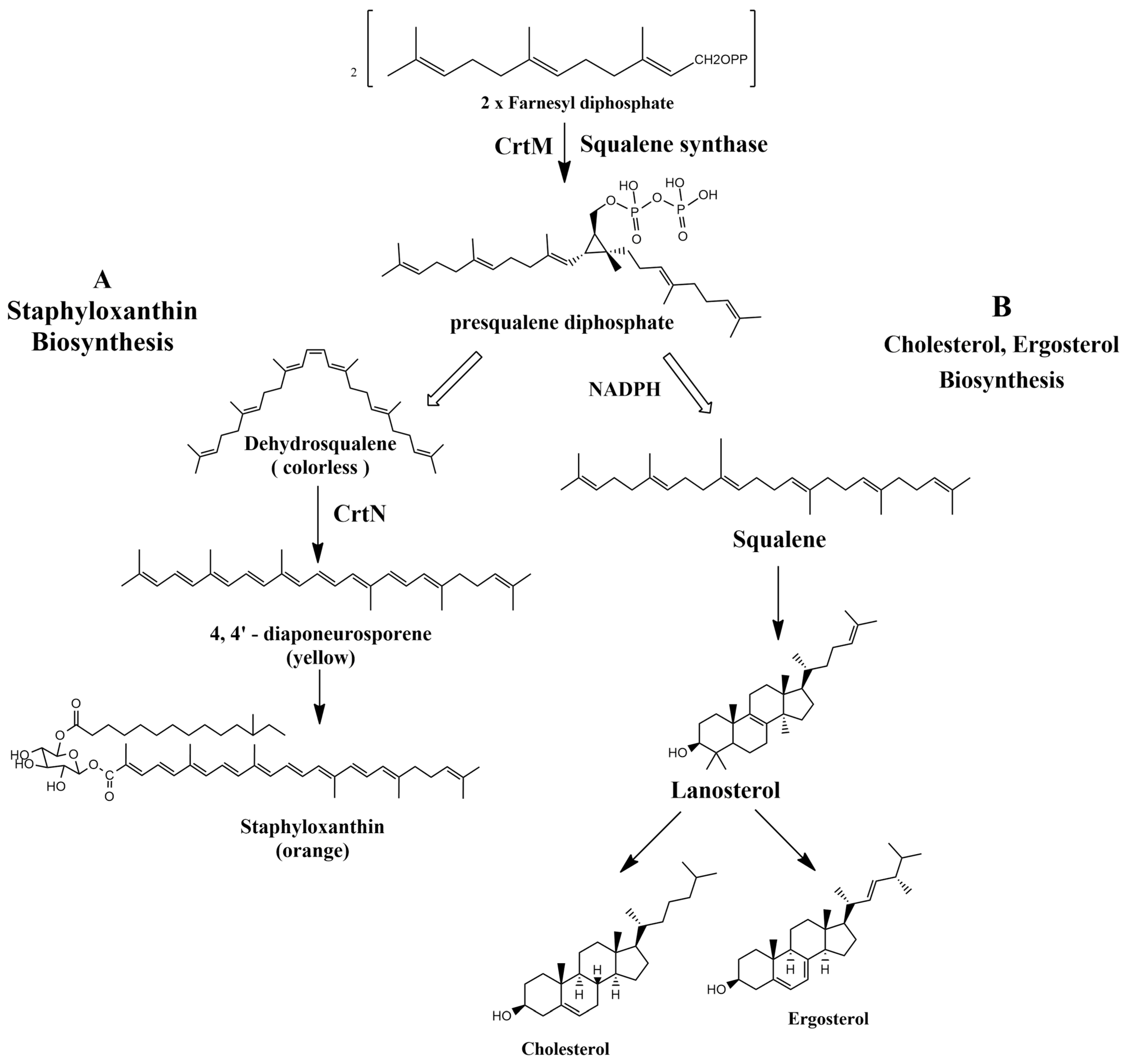 /media/item_content/202203/6225ca4525e95antibiotics-11-00298-g001.png