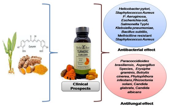 Antibiotics 11 00322 g002 550