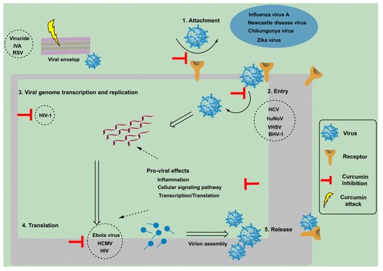 Antibiotics 11 00322 g003 550