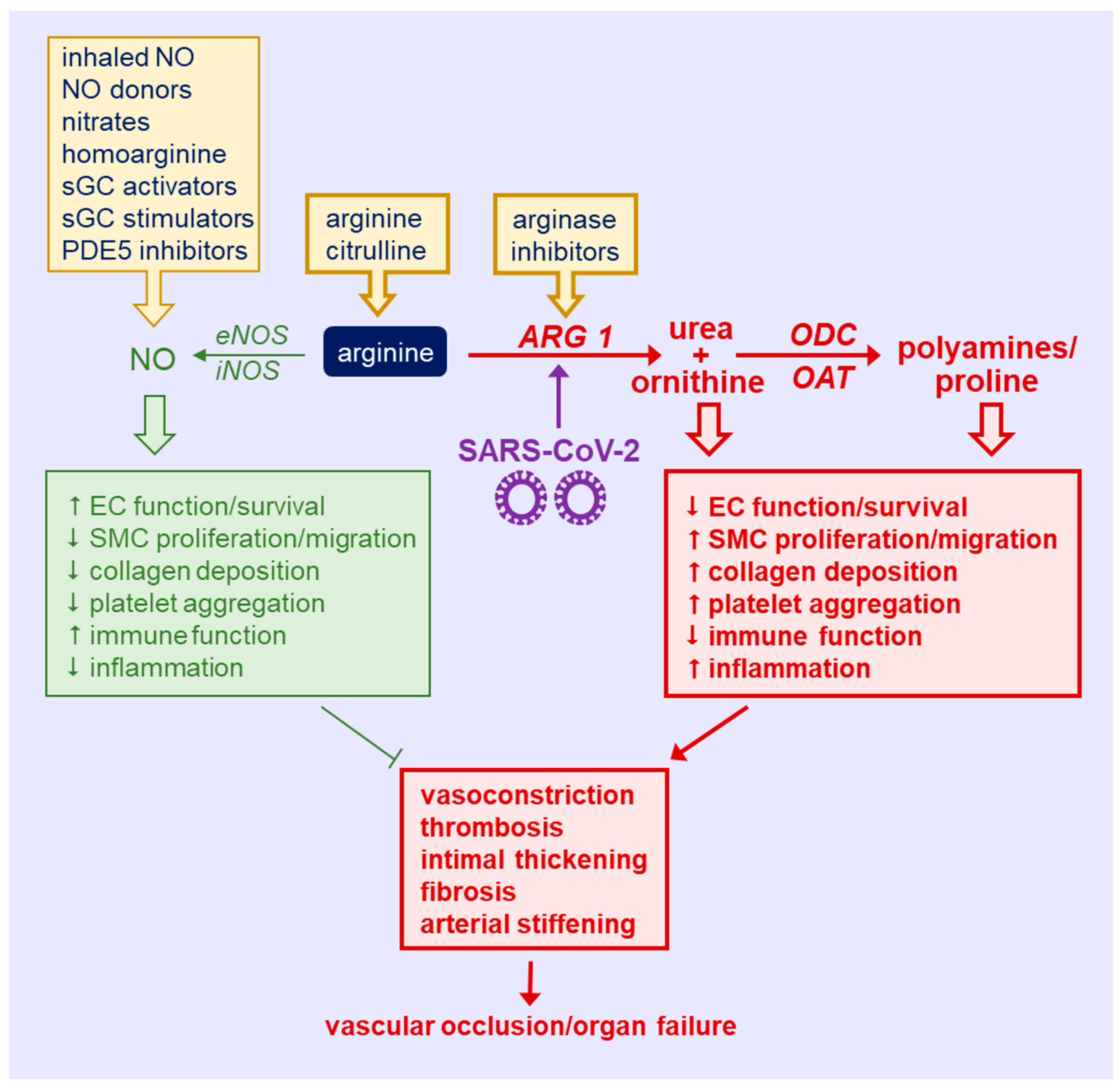 /media/item_content/202203/62328c63ce2c4metabolites-12-00240-g002.png