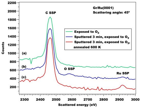 Coatings 12 00397 g006 550