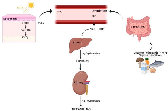 Nutrients 14 01291 g001 550