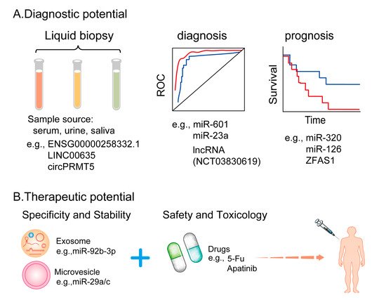 Cells 11 00947 g003 550