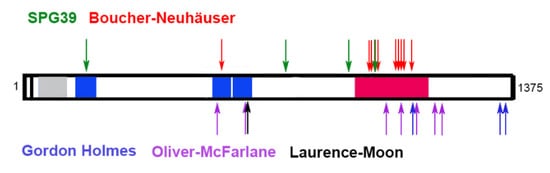 Metabolites 12 00284 g005 550