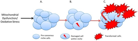 Cancers 14 01621 g002 550
