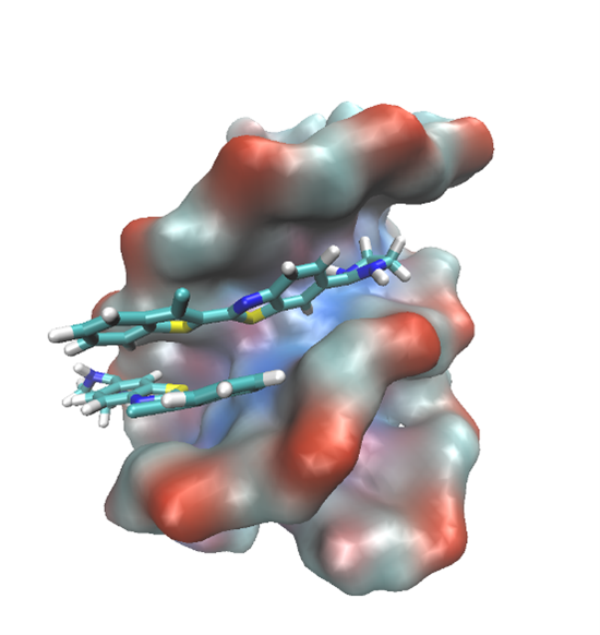 Figure 10. A complex between ATT (DNA triplex) and dimer of 6 obtained after 200 ns of MD simulation in water. ATT is represented by its solvent accessible surface and ligand is given in stick representation. (complexes were built in PyMOL, wherein the initial position of ligands was de-termined from spectroscopic data. Parametrization was performed by ANTECHAMBER [67] and Leap, the modules available within AMBER16 suite of programs [68,69] using GAFF [70] for the ligands and (a) bsc1 [41] and (b) OL15 [69] for ATT. Neutralized and solvated complexes were minimized, equilibrated, and simulated for 200 ns using the programs sander and pmemd.