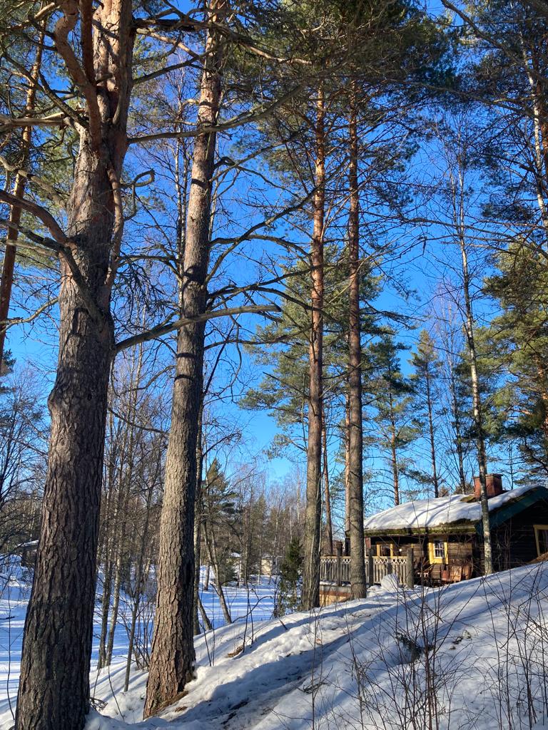 Buildings 12 00260 g002 550