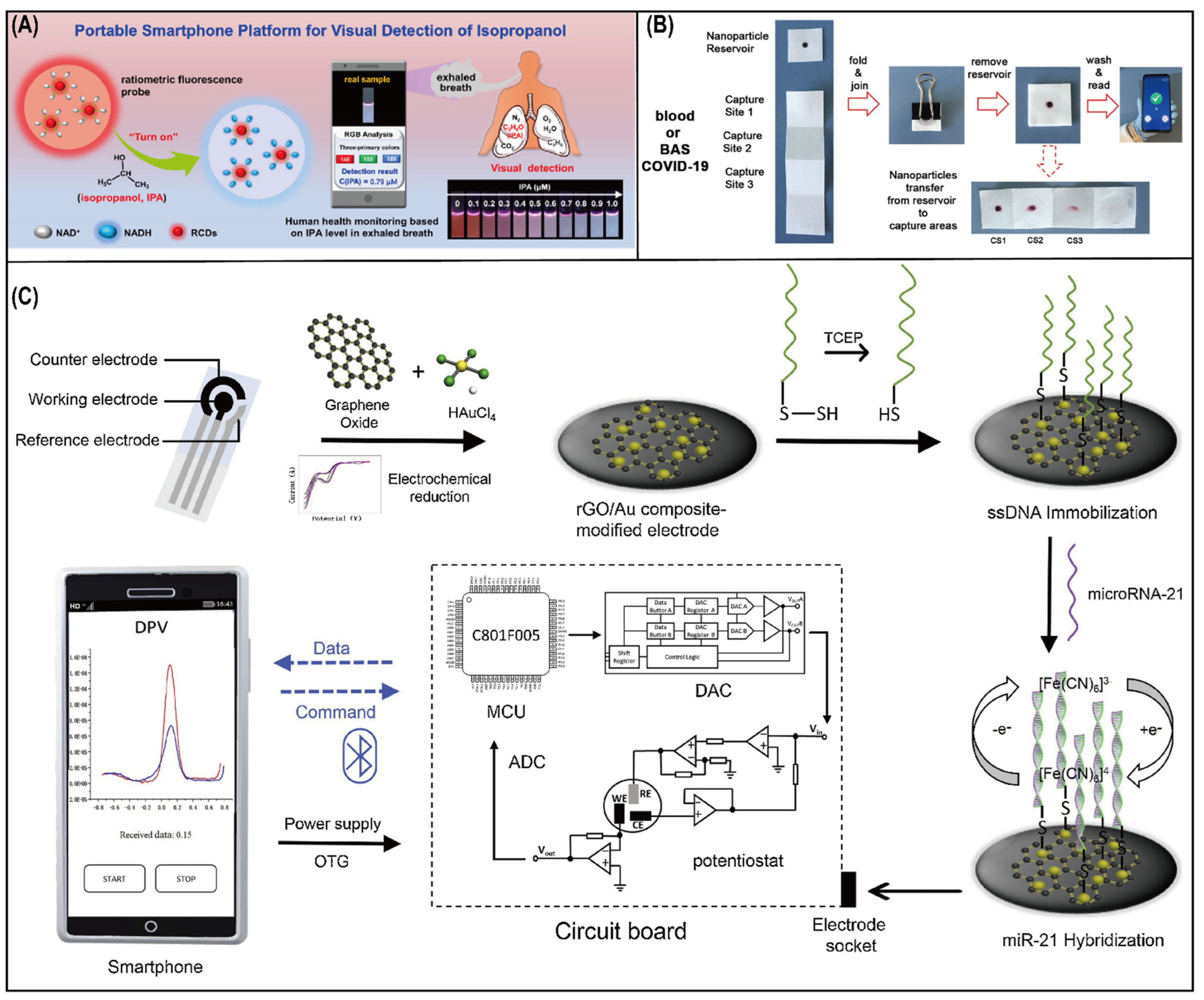 Biosensors 12 00223 g004