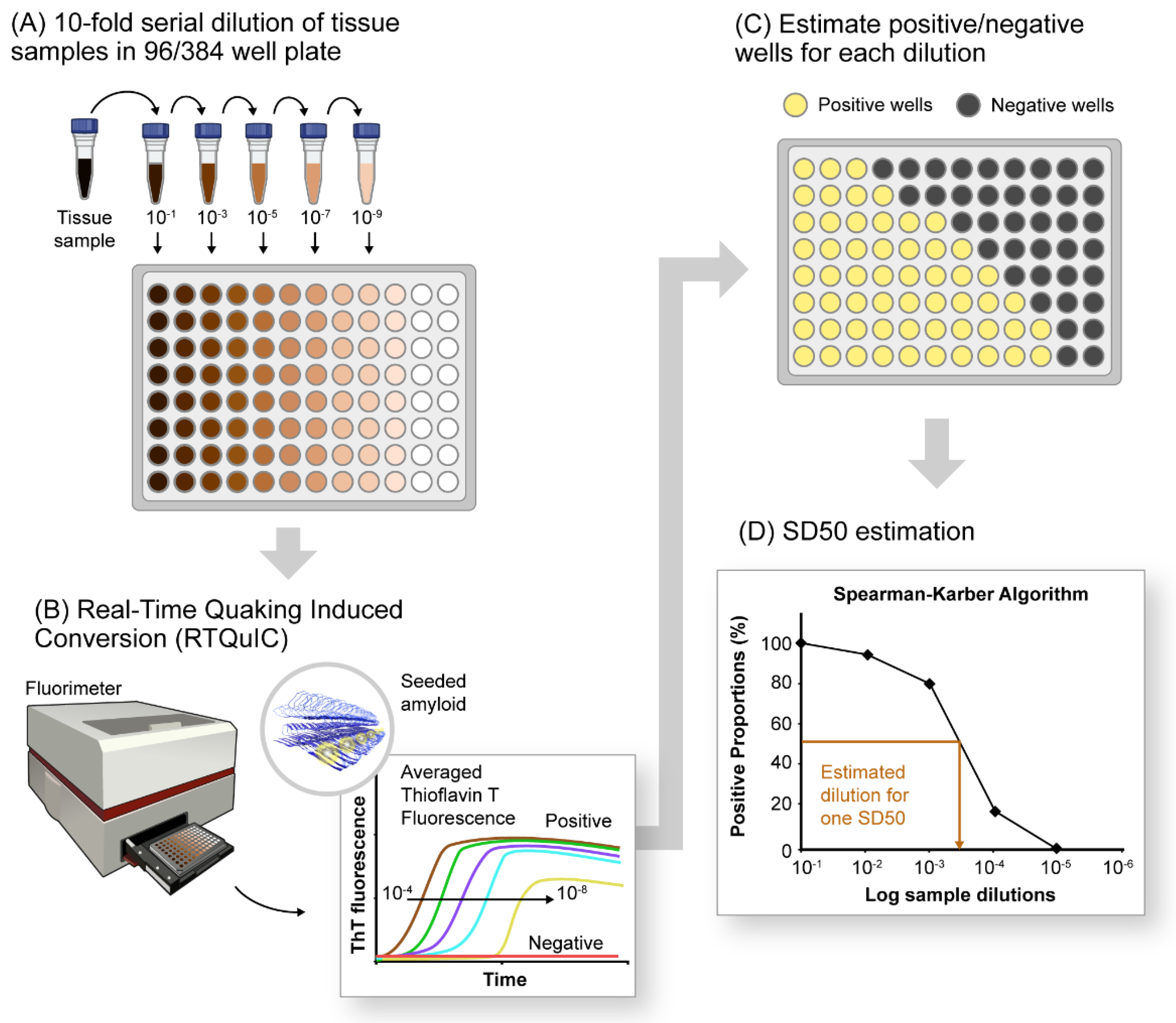 /media/item_content/202204/62620546ef01fbiomolecules-12-00576-g001.png