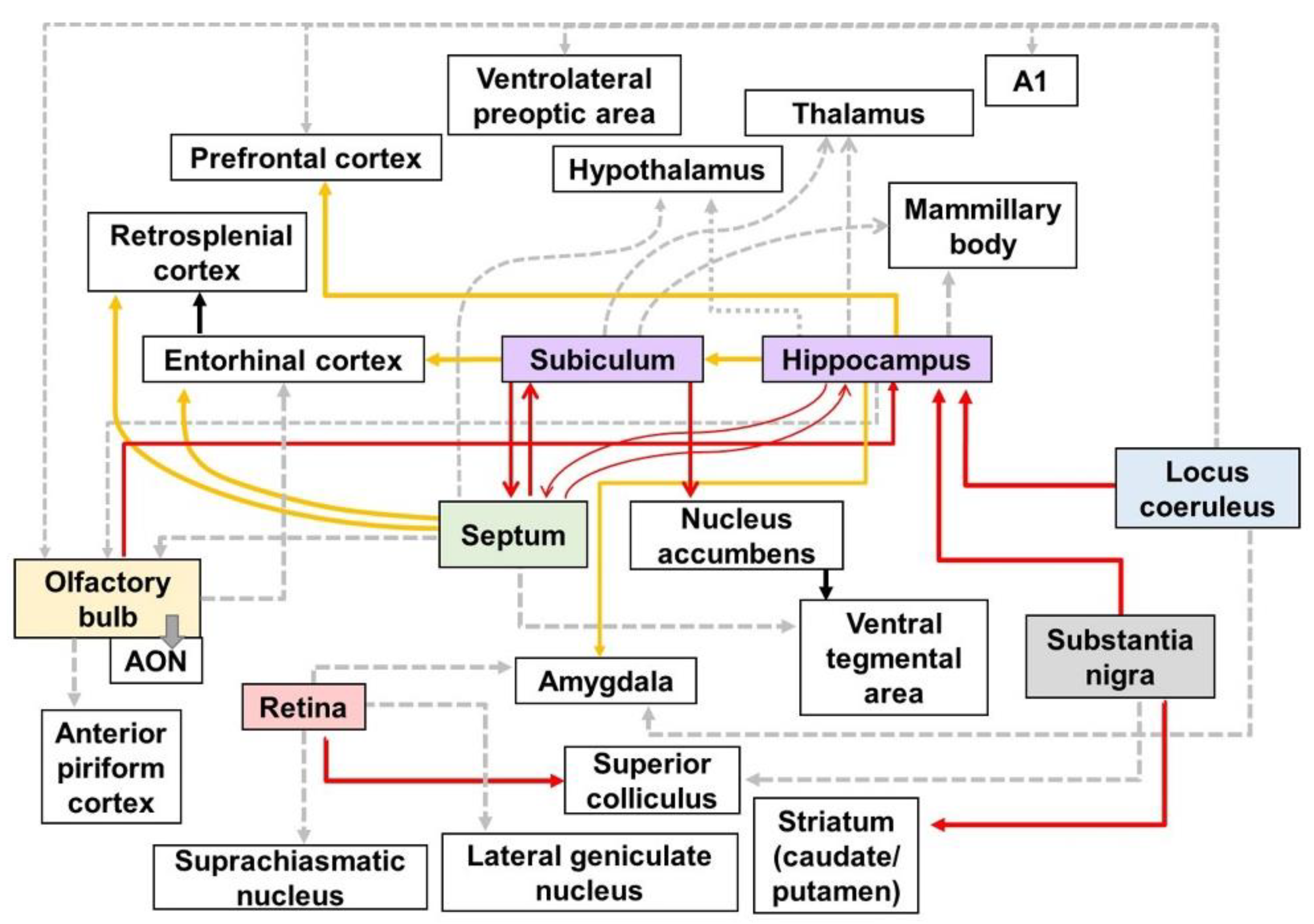 /media/item_content/202204/62663aee623d7biomedicines-10-00845-g007.png